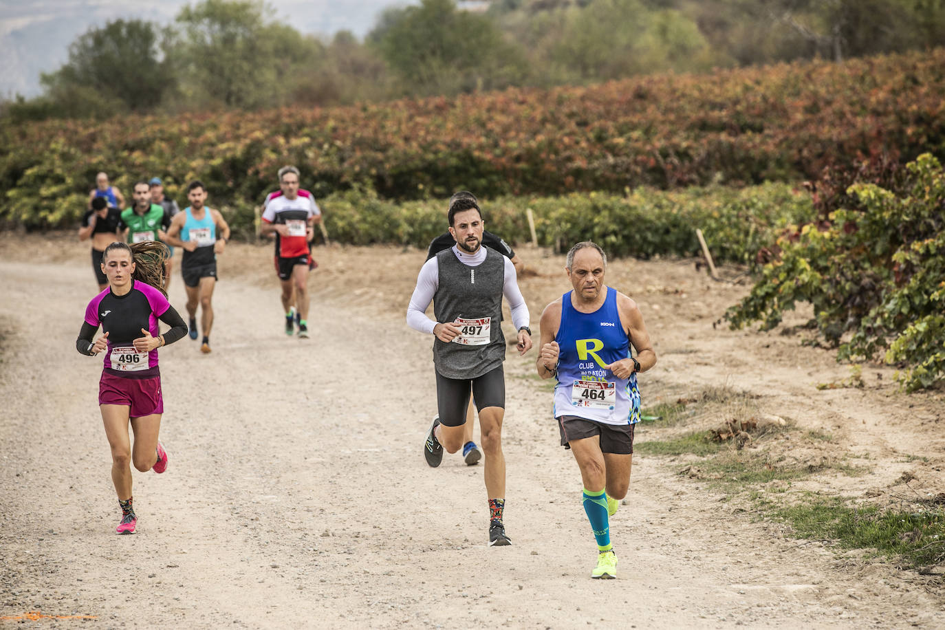 Fotos: Atletas entre las viñas