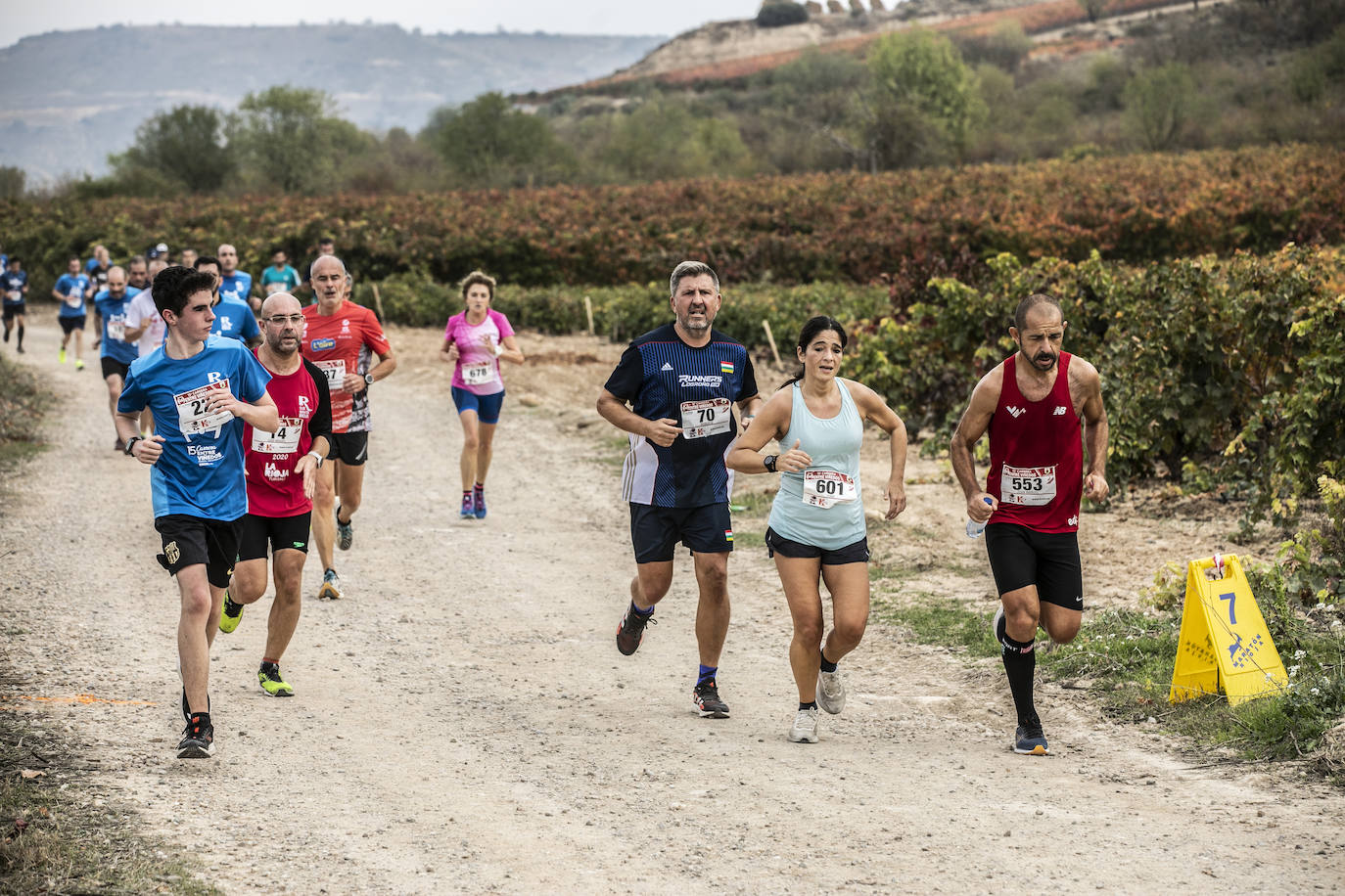 Fotos: Atletas entre las viñas