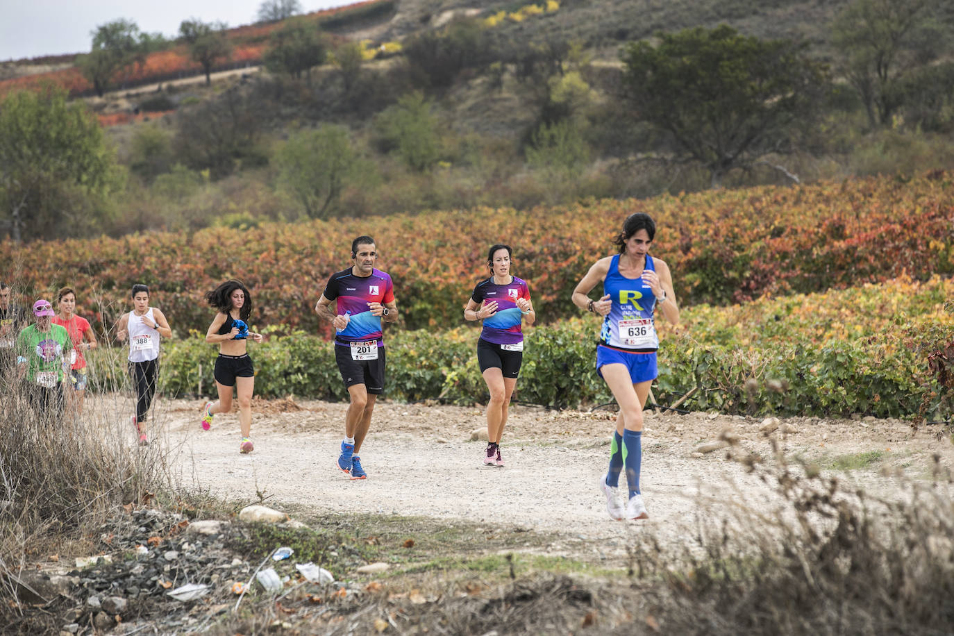 Fotos: Atletas entre las viñas