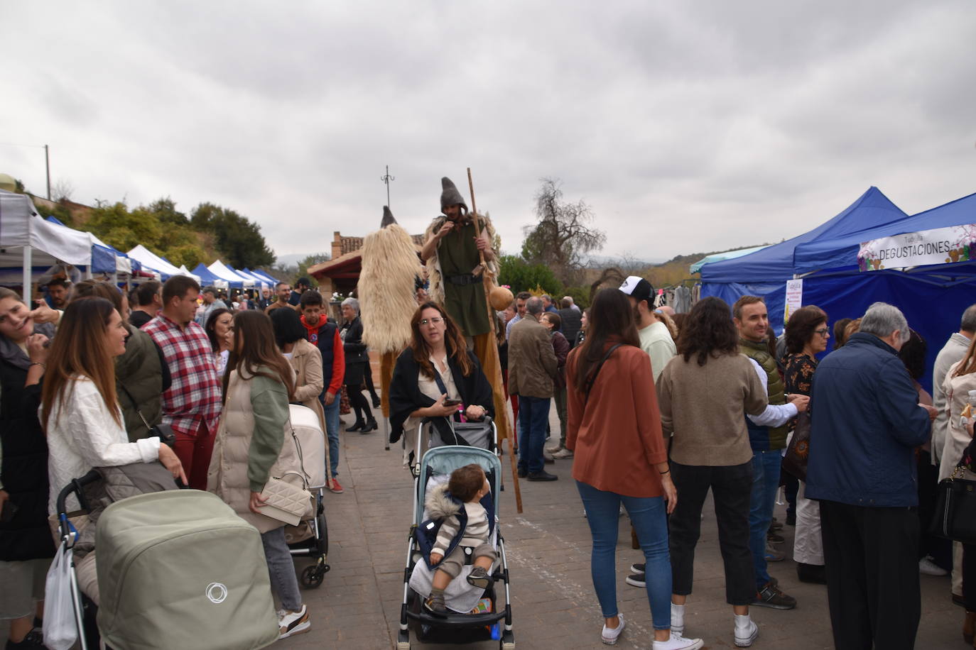 Fotos: Degustaciones, animación, actividades infantiles y exposición en &#039;Tudelilla Tal Cual&#039;