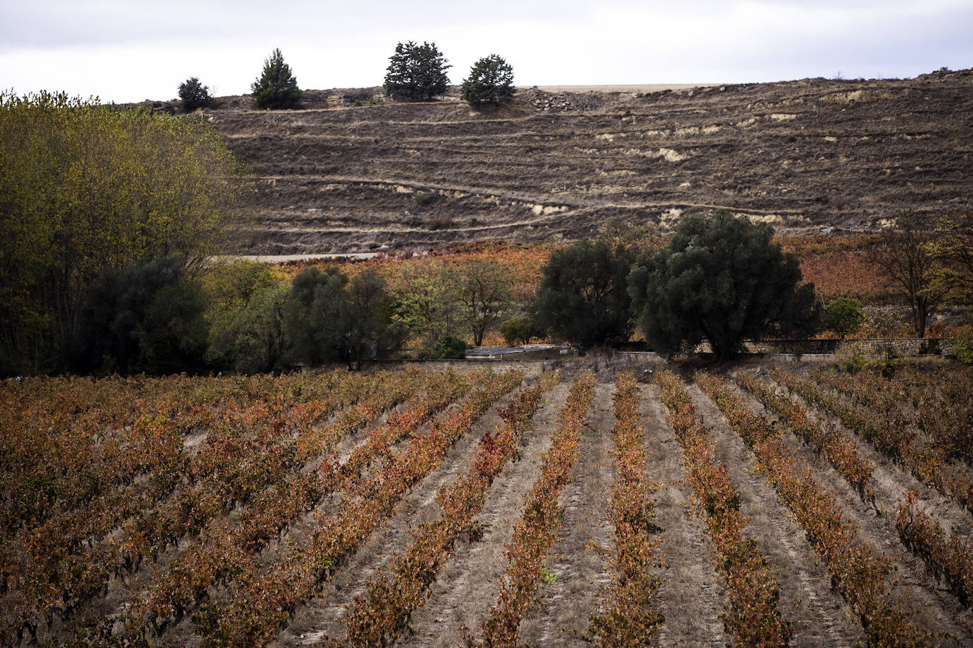 Fotos: Paisajes otoñales | Los Obarenes