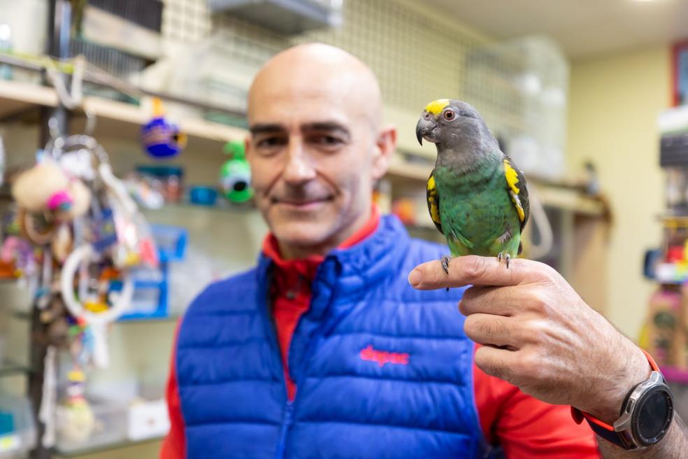 José Alonso, responsable de la tienda Mascotas Rioja de Logroño, posa con el loro Merlí. 