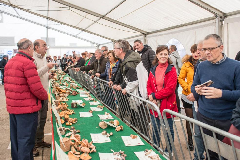 Exposición micológica de Ezcaray, que reunió 260 especies. El micólogo Carmelo Úbeda, coordinador de las jornadas, da explicaciones a los visitantes. 