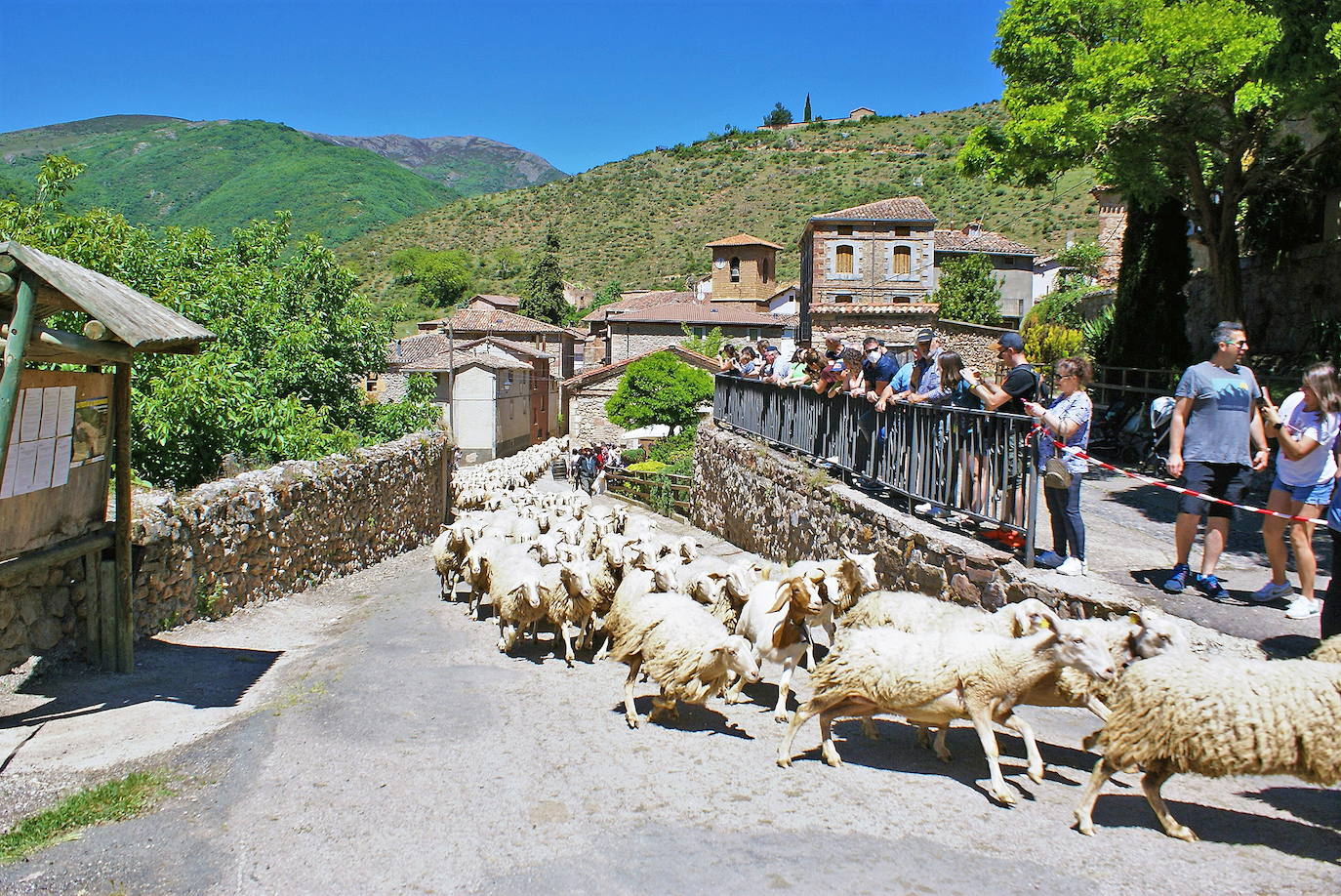 Una imagen de Brieva de Cameros durante la Jornada de la Trashumancia. 