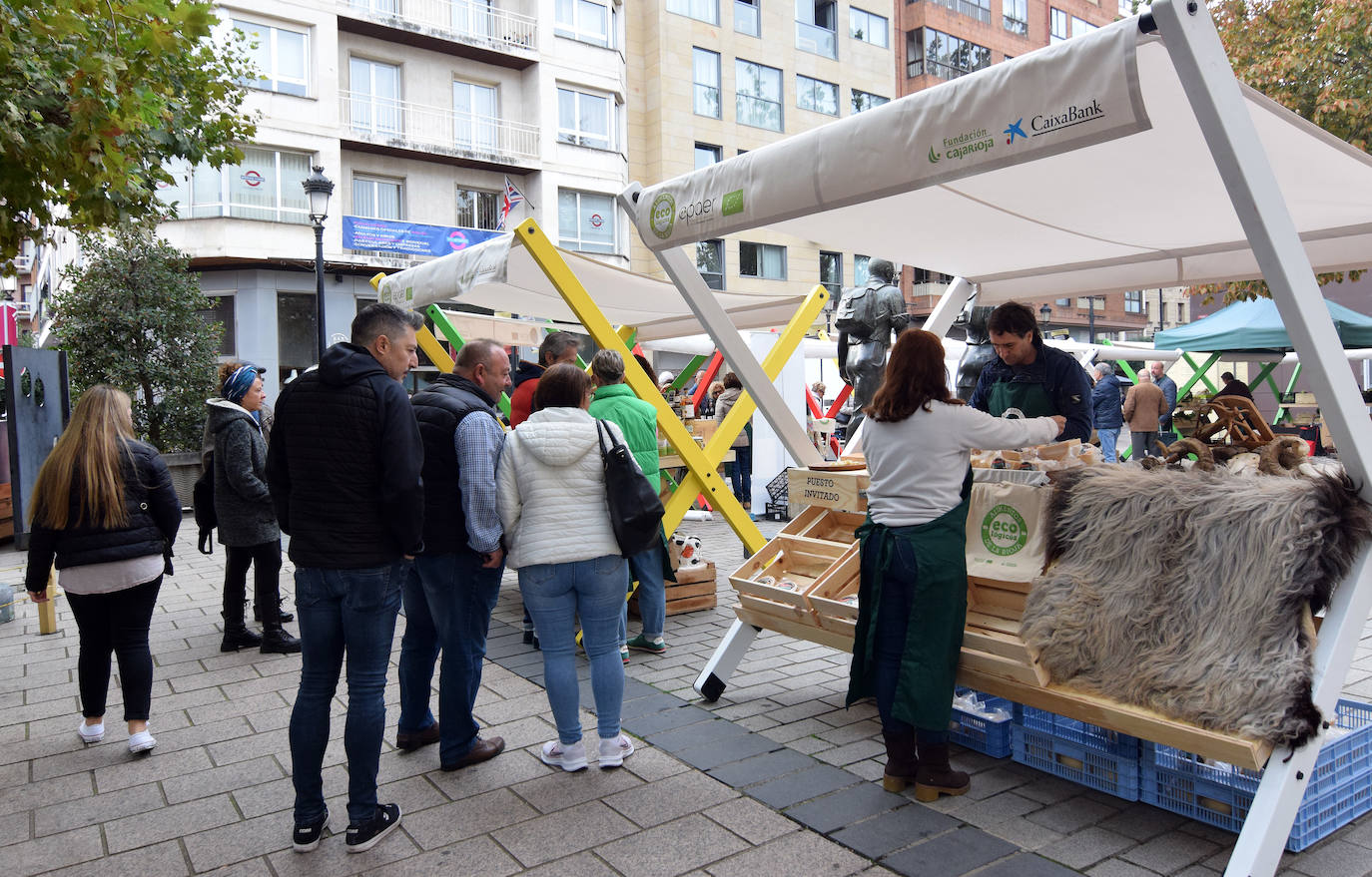 Fotos: Nuevo Ecomercado en Logroño