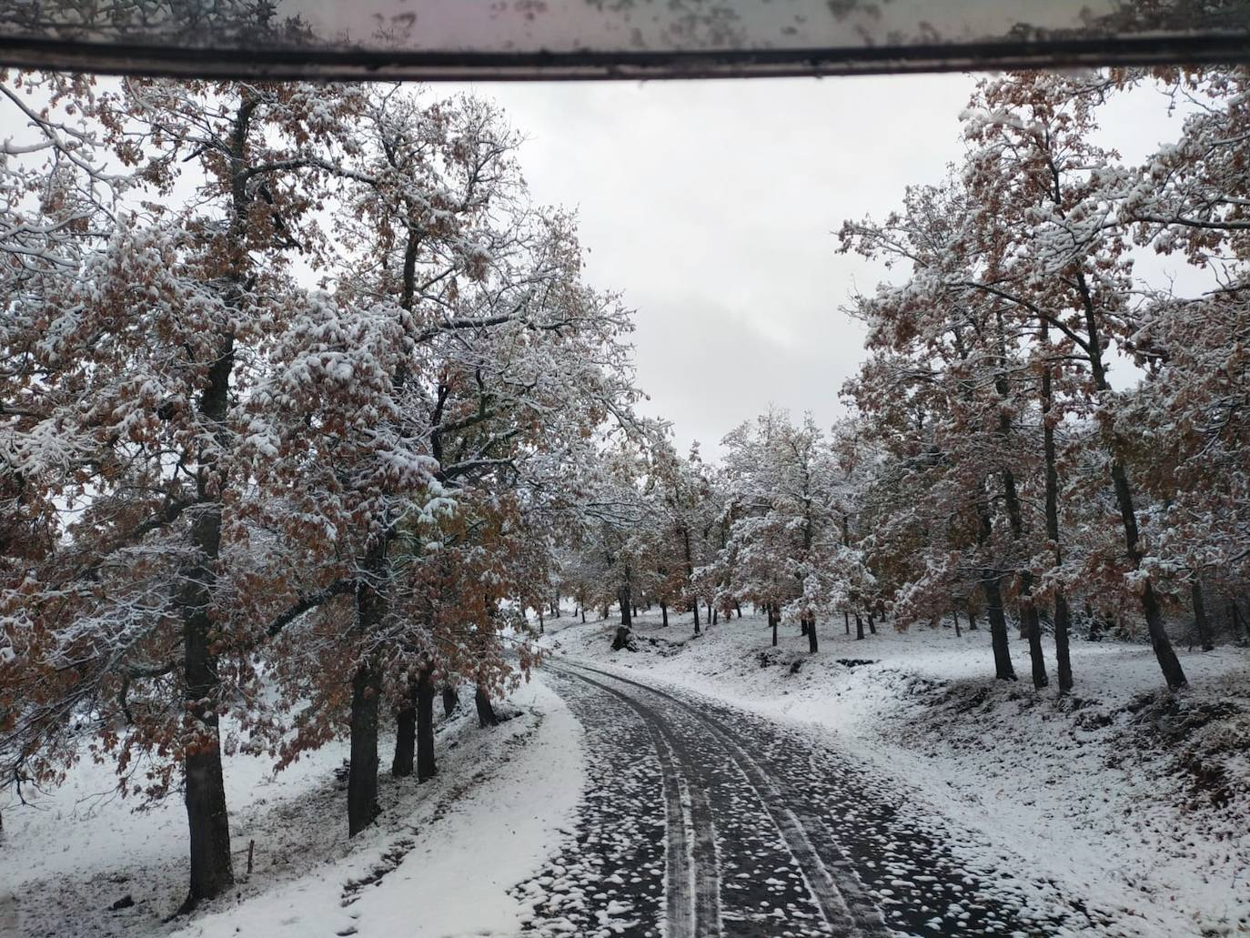 Fotos: La nieve llega a La Rioja