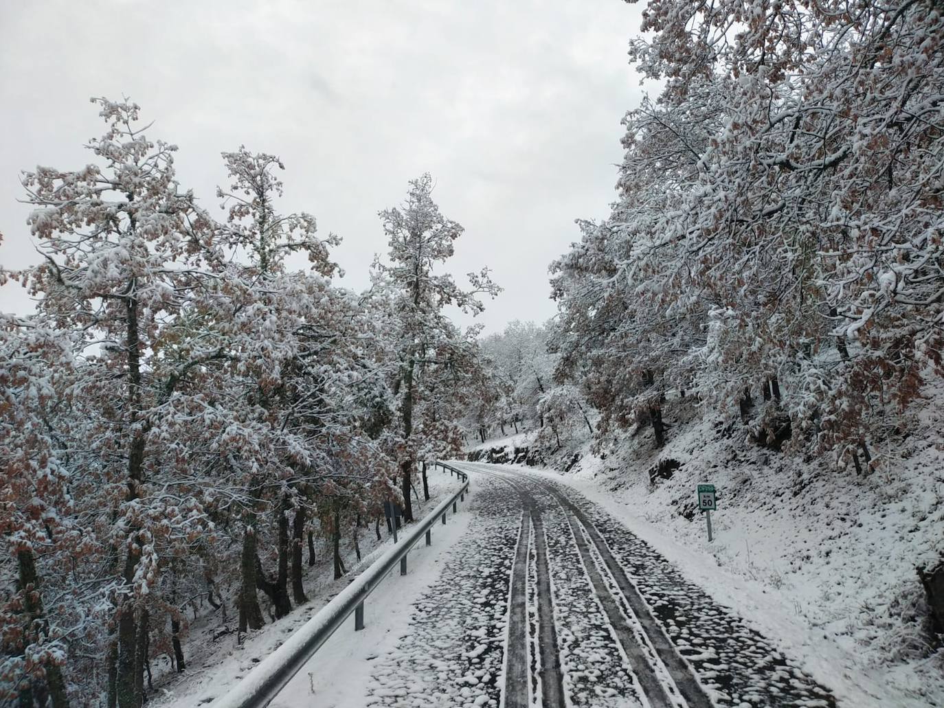 Fotos: La nieve llega a La Rioja