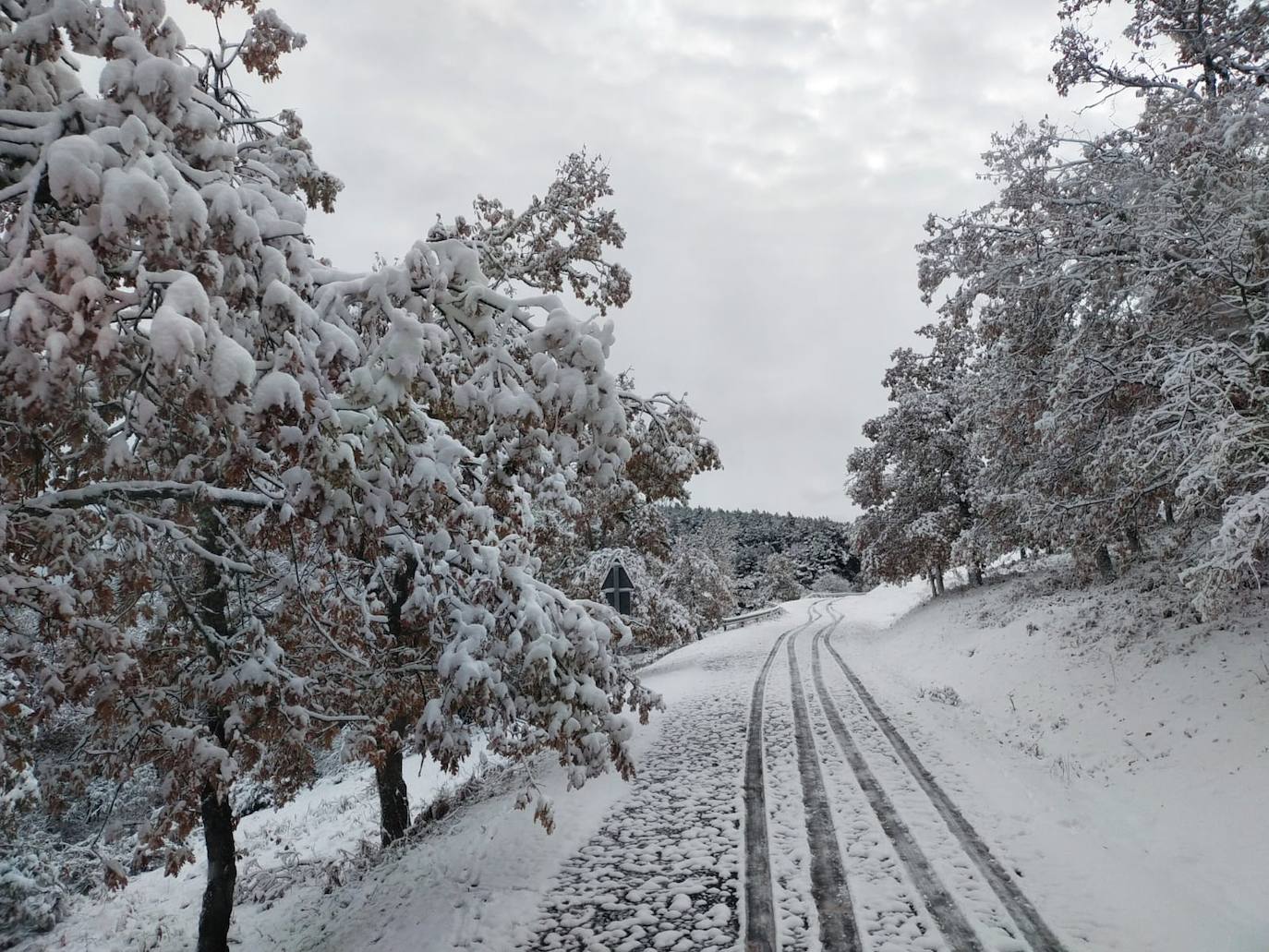 Fotos: La nieve llega a La Rioja