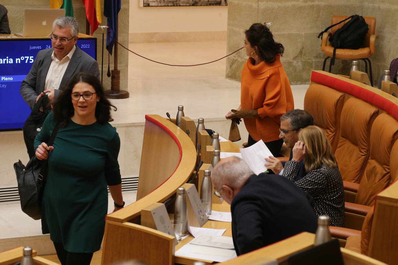 Fotos: Sesión ordinaria en el Parlamento riojano