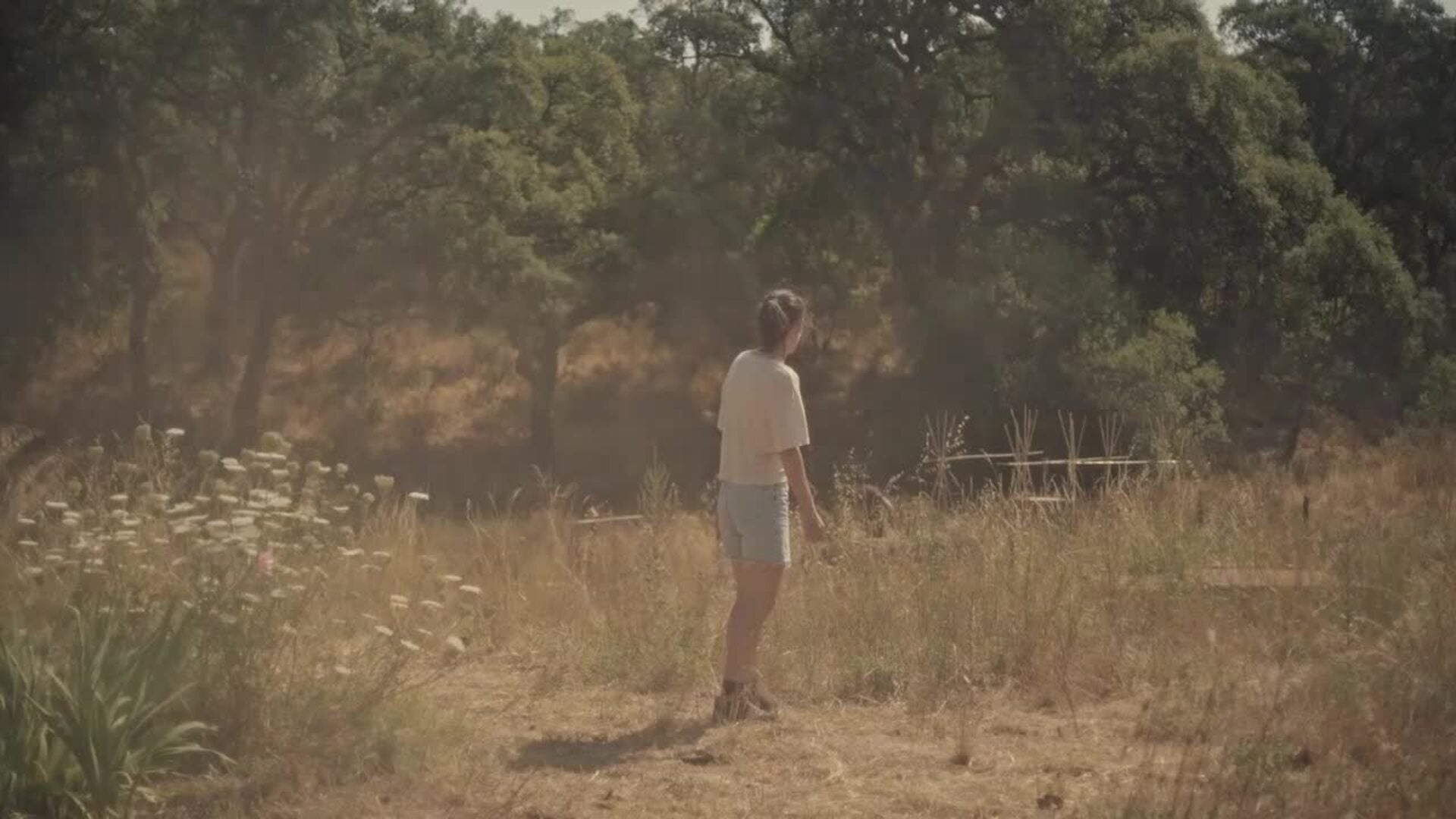 Tráiler 'Suro'