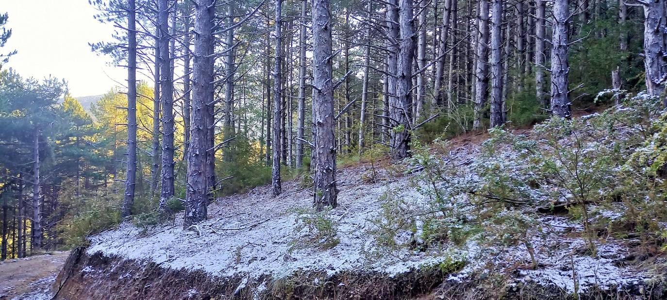 Fotos: Las estampas que dejan el frío y la nieve en La Rioja