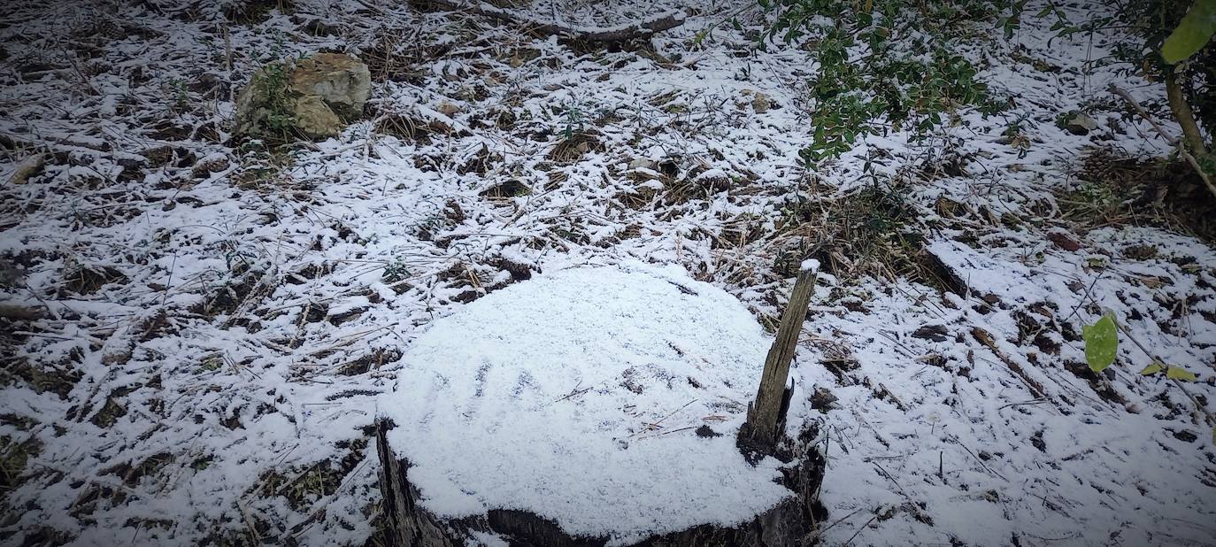 Fotos: Las estampas que dejan el frío y la nieve en La Rioja