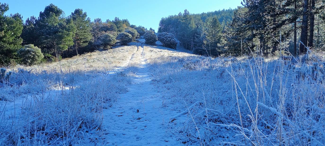 Fotos: Las estampas que dejan el frío y la nieve en La Rioja