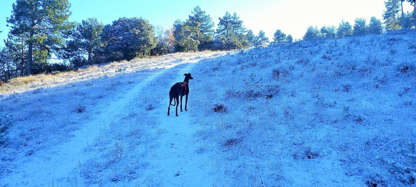 Fotos: Las estampas que dejan el frío y la nieve en La Rioja