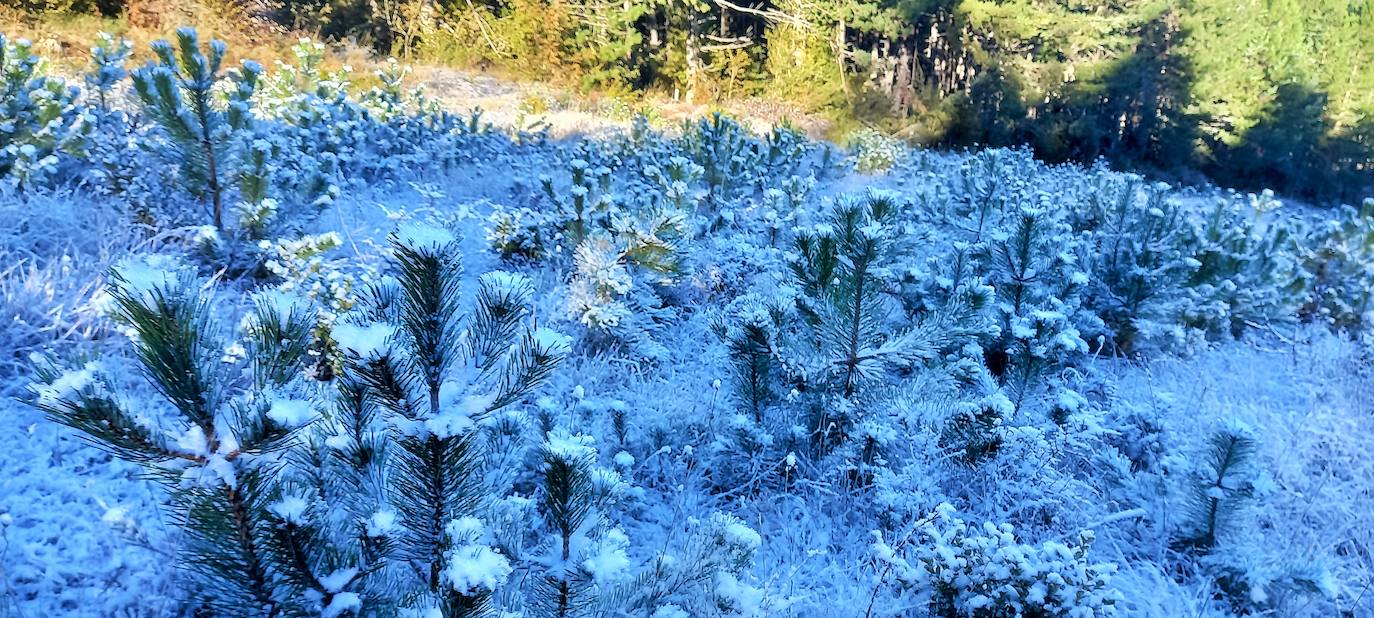 Fotos: Las estampas que dejan el frío y la nieve en La Rioja