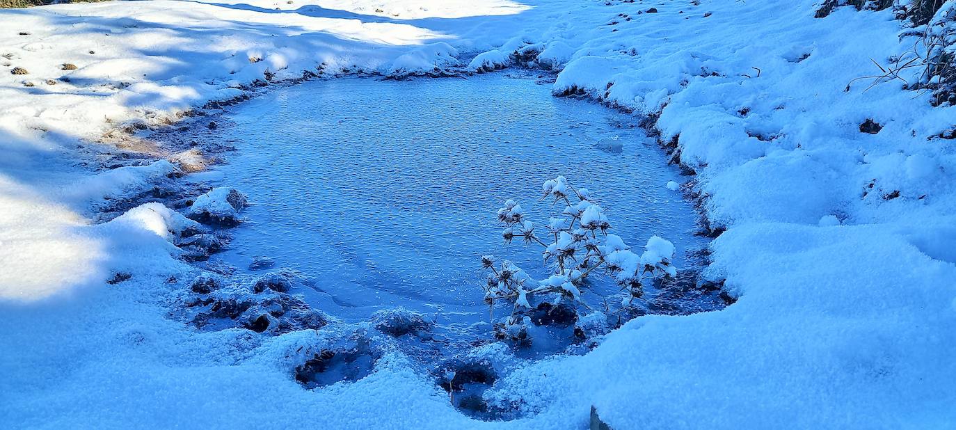 Fotos: Las estampas que dejan el frío y la nieve en La Rioja