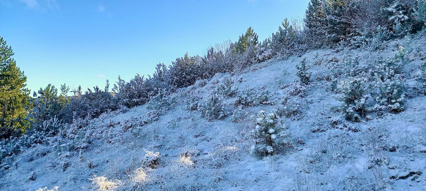 Fotos: Las estampas que dejan el frío y la nieve en La Rioja