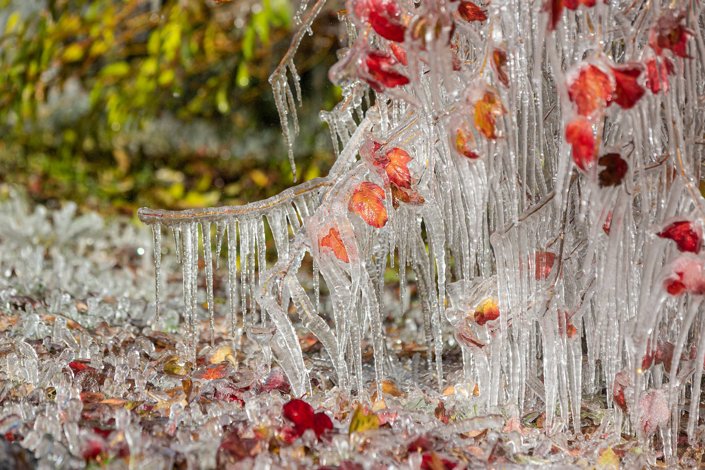 Fotos: Las estampas que dejan el frío y la nieve en La Rioja