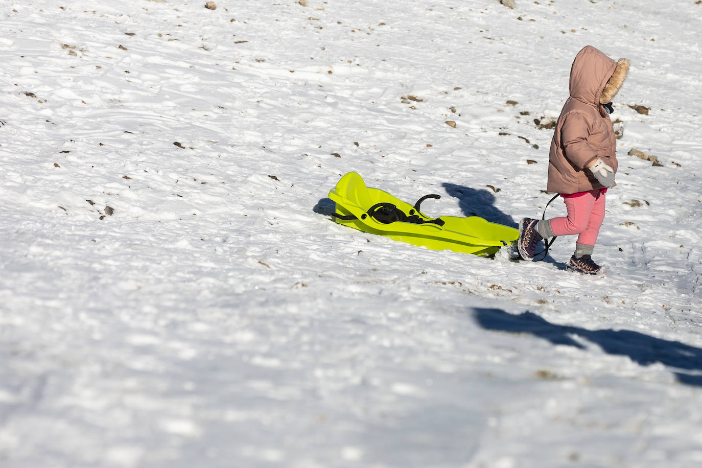 Fotos: Las estampas que dejan el frío y la nieve en La Rioja