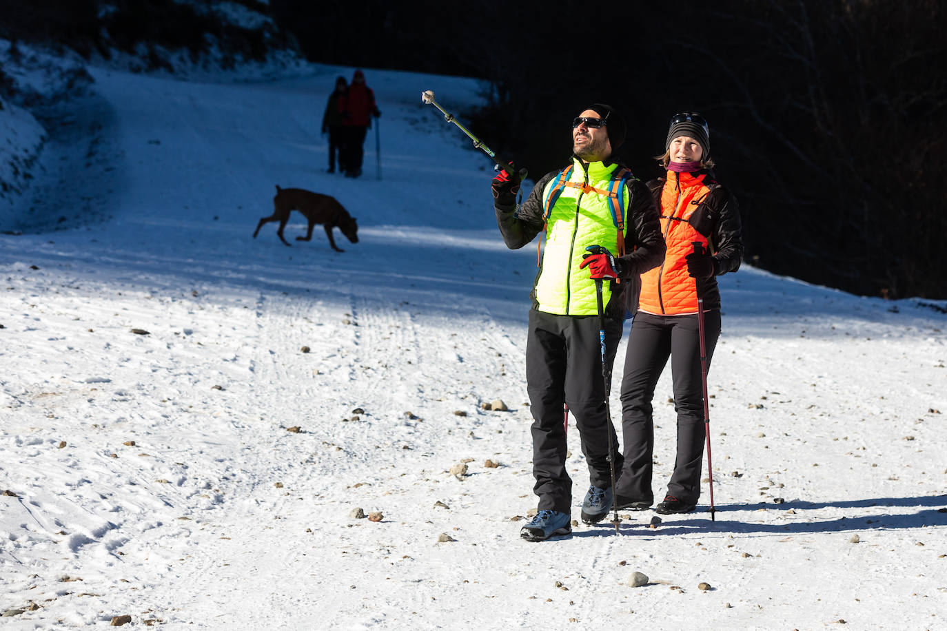 Fotos: Las estampas que dejan el frío y la nieve en La Rioja