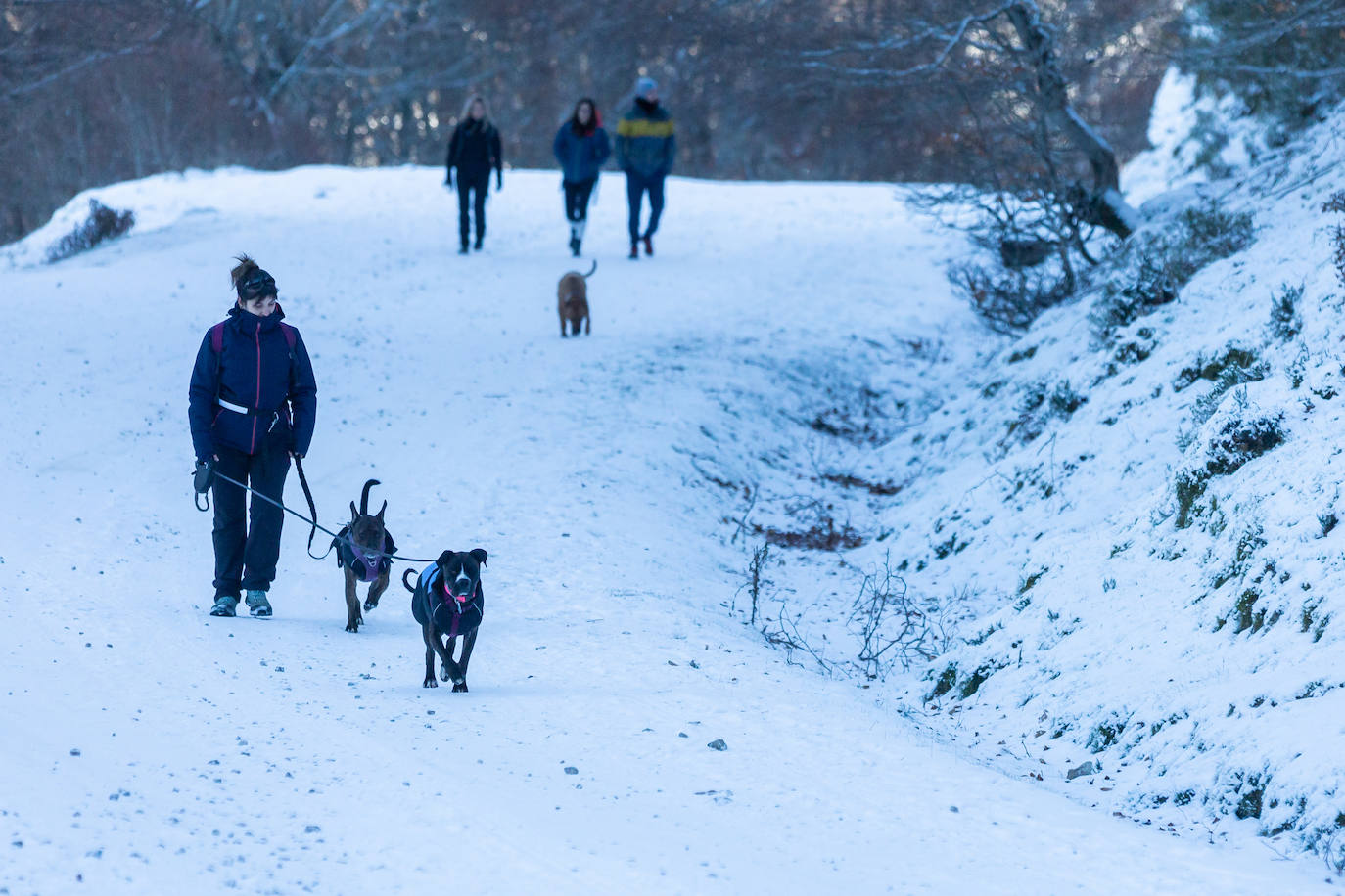 Fotos: Las estampas que dejan el frío y la nieve en La Rioja