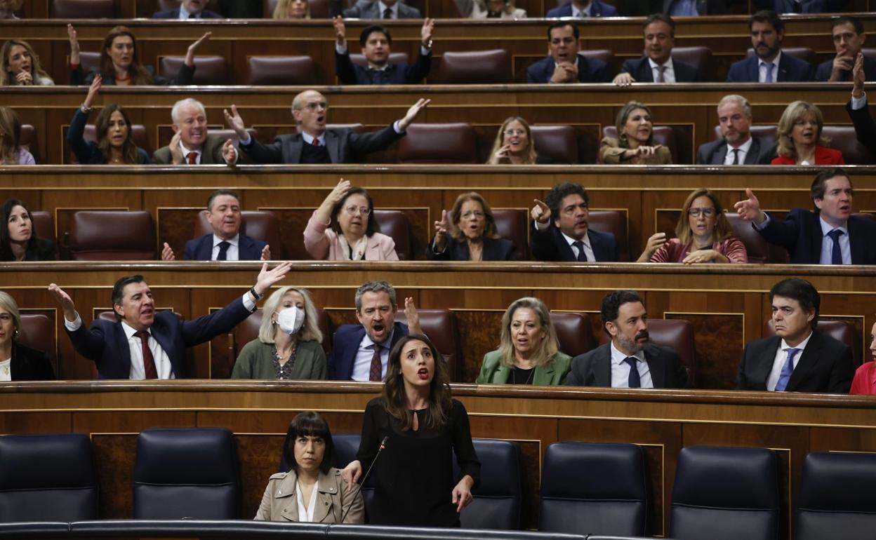 Irene Montero, en el Parlamento. 