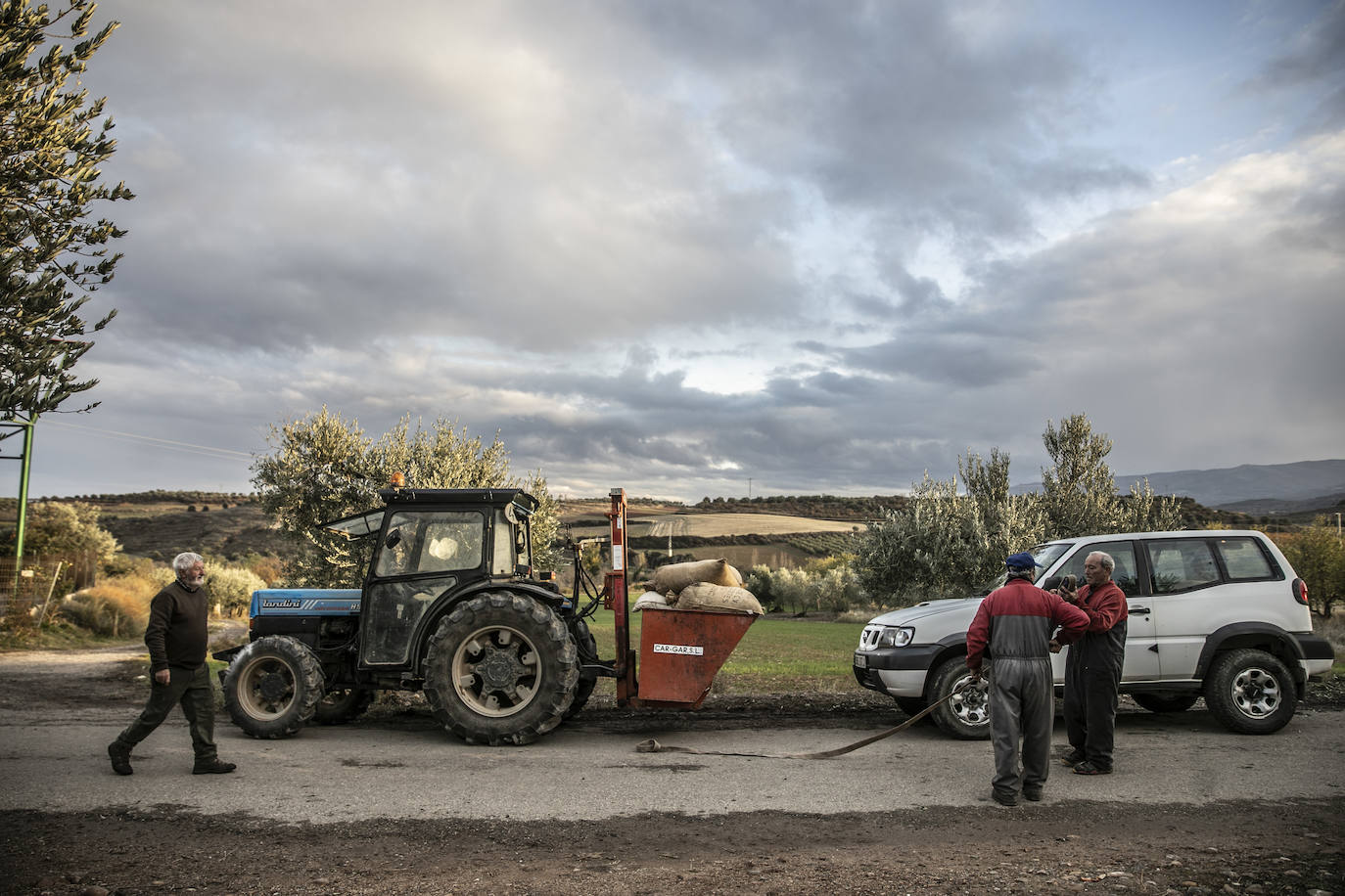 Fotos: Año de sombras para el olivar