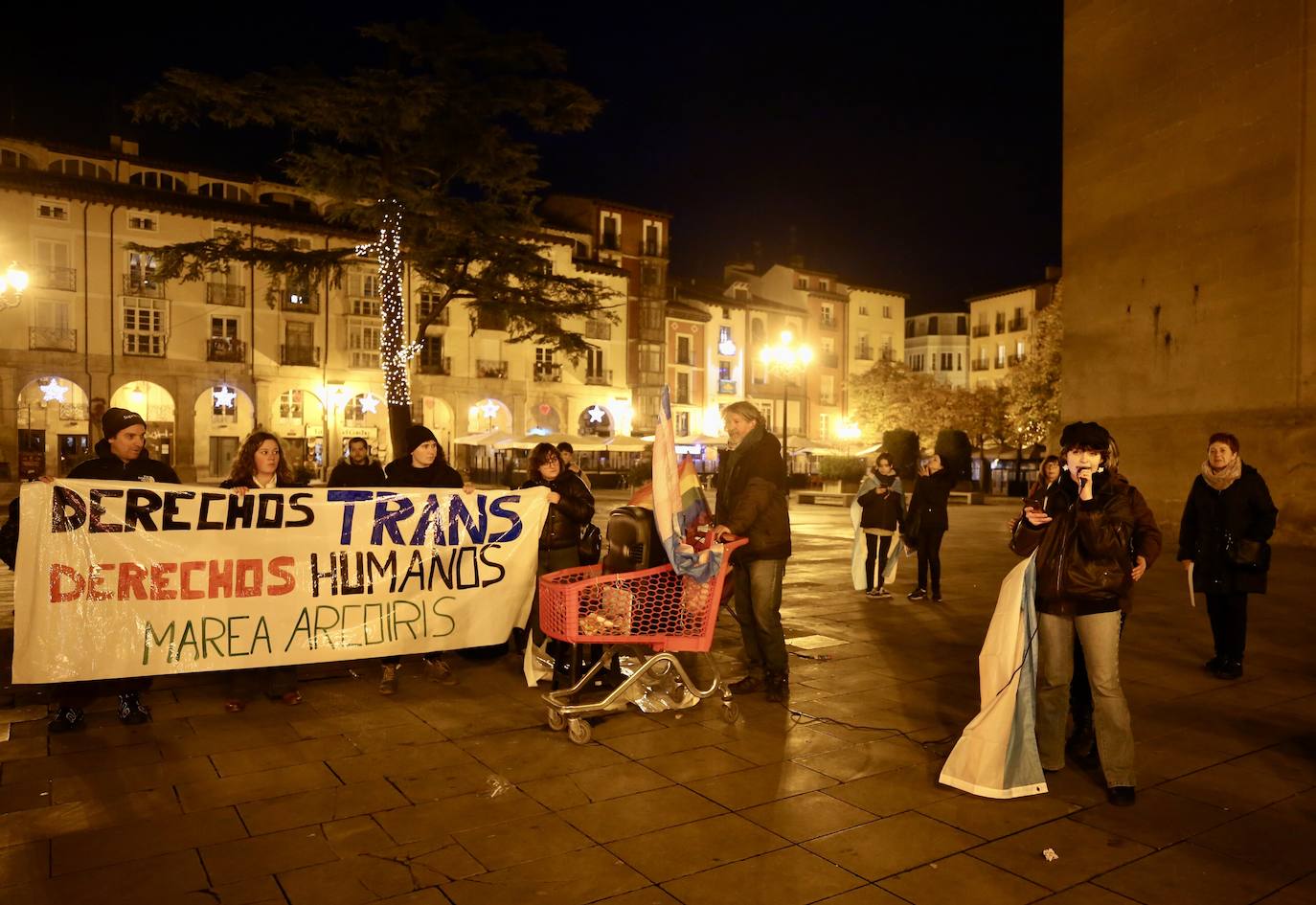 Fotos: Gylda y Marea Arcoíris reclaman con una protesta en Logroño una ley trans «sin recortes»