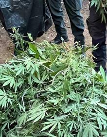 Imagen secundaria 2 - Detenidos dos hombres y desmantelado un laboratorio y punto de venta de droga en Alesanco