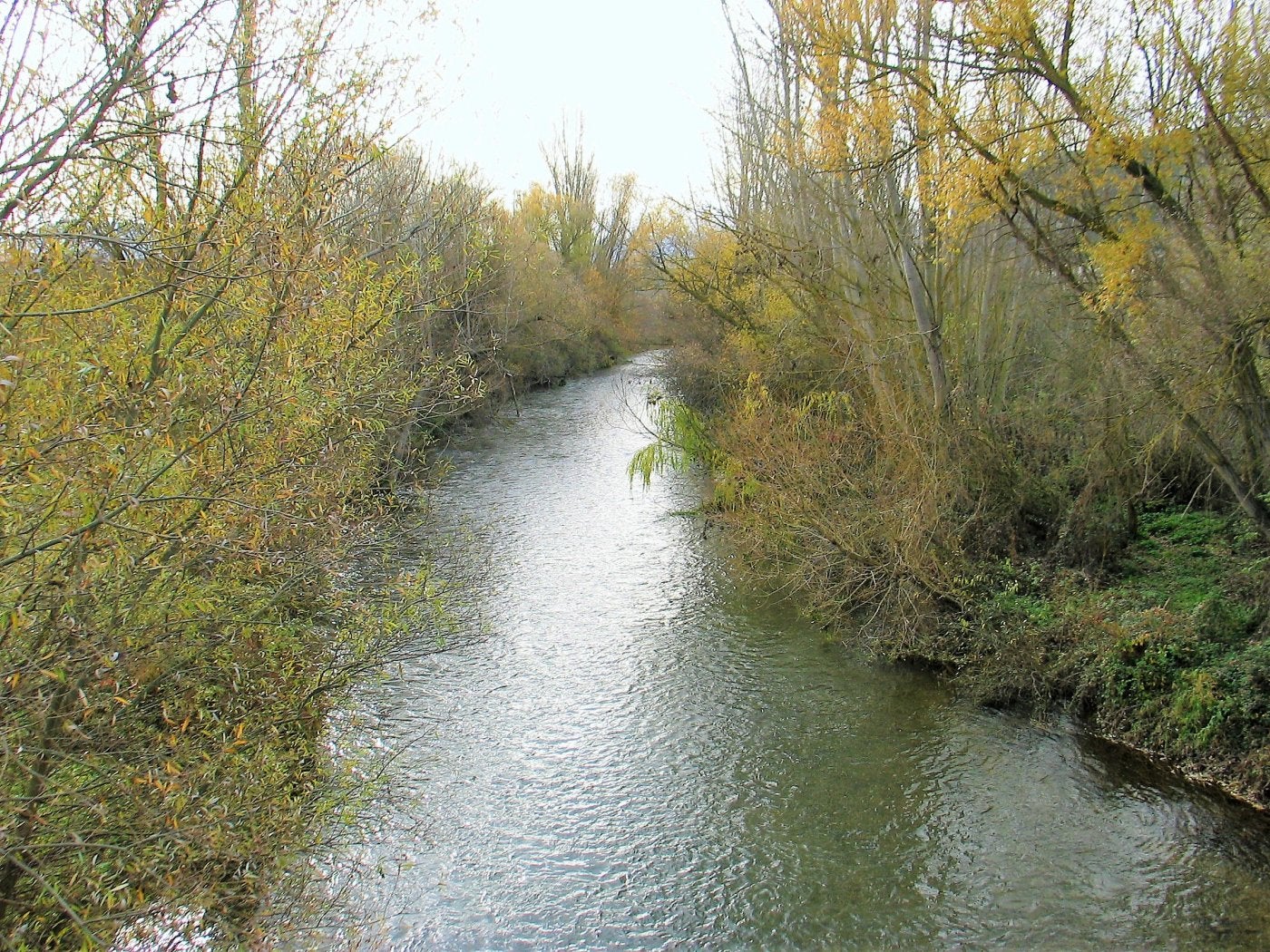 Zona del río Najerilla próxima al vertido de aguas fecales que se pueden ver en la foto pequeña. 