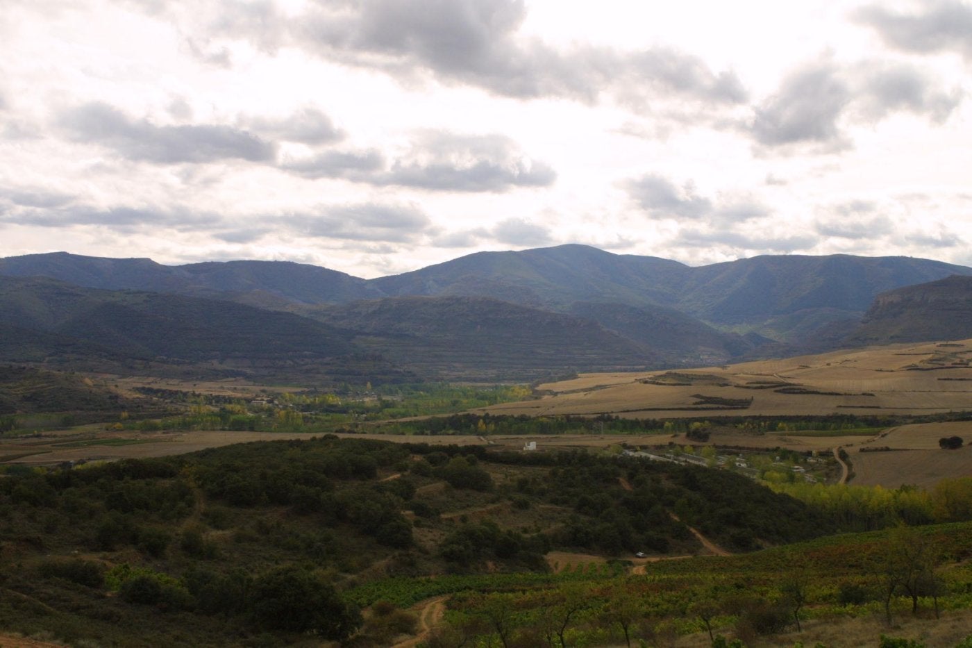 Los montes de Anguiano serán una de las zonas de trabajo.