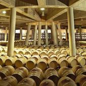 De Gehry a Foster, el recorrido por las grandes bodegas arquitectónicas de Rioja