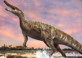 Hallan en Igea el dinosaurio espinosáurido más completo de la península ibérica