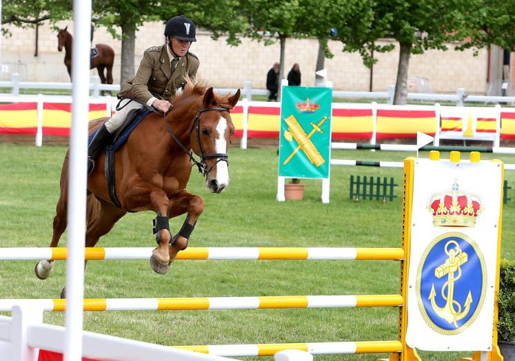 Imagen principal - El coronel Fernando Martínez de Albornoz, en varias competiciones de salto de obstáculos.