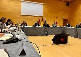 Reunión del Observatorio sobre Violencia de Género.