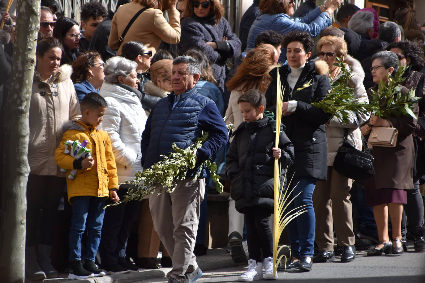 Procesión de Domingo de Ramos en Calahorra