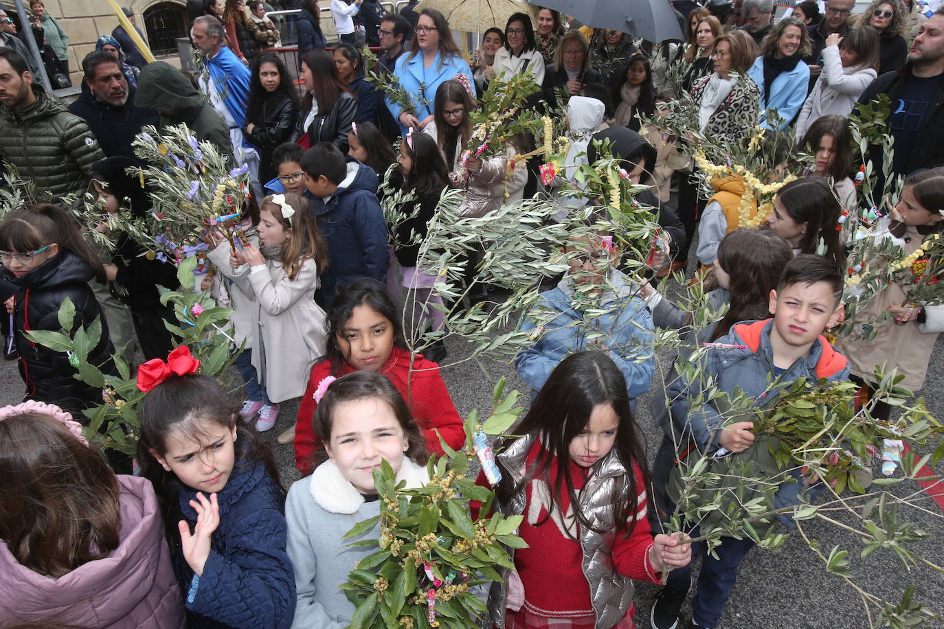 Procesión de la Borriquilla en Logroño