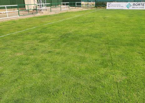 Imagen secundaria 1 - Segundo robo en el campo de fútbol de Pradejón en tres días