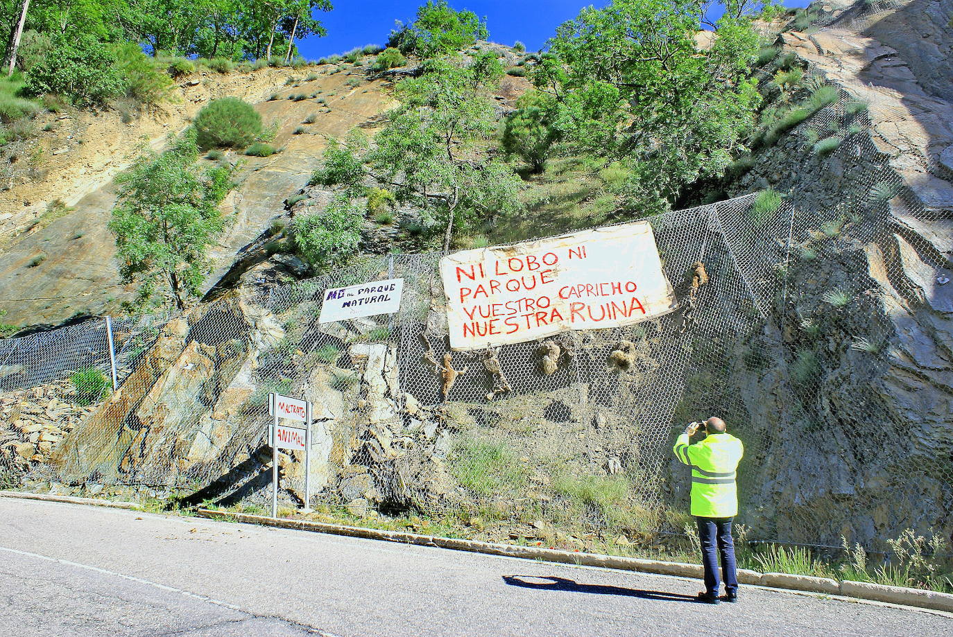 La Rioja aprueba el Plan de Gestión del Lobo y las excepcionalidades para su caza