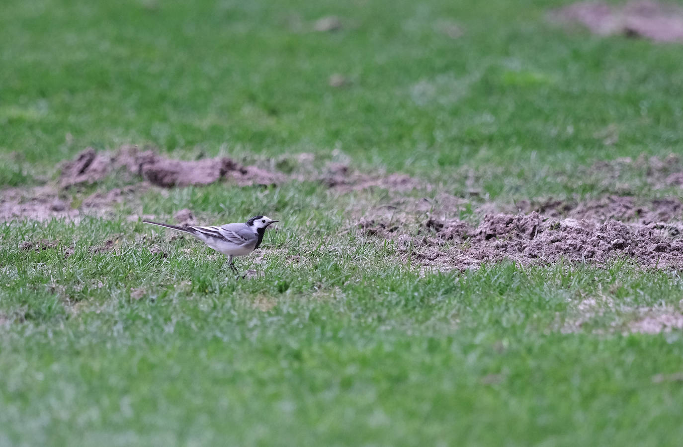 Tablas que no acercan al &#039;play off&#039;