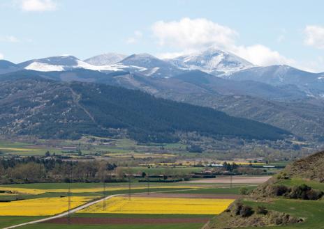 Imagen secundaria 1 - Nieva mientras florece