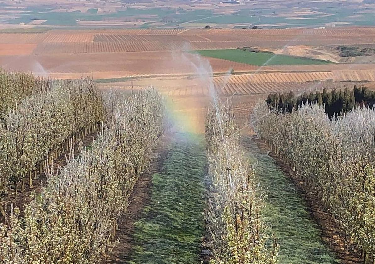 Campos de regadío en La Rioja.