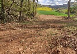 El lugar que ocupaba una balsa de riego ha sido rellenado ya con tierra vegetal.