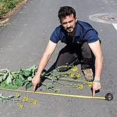 Agricultura reconoce que la situación es «muy preocupante» para el agro riojano