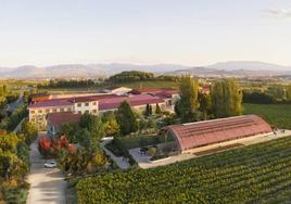 Vista panorámica de Bodegas Faustino, con el diseño de Foster.