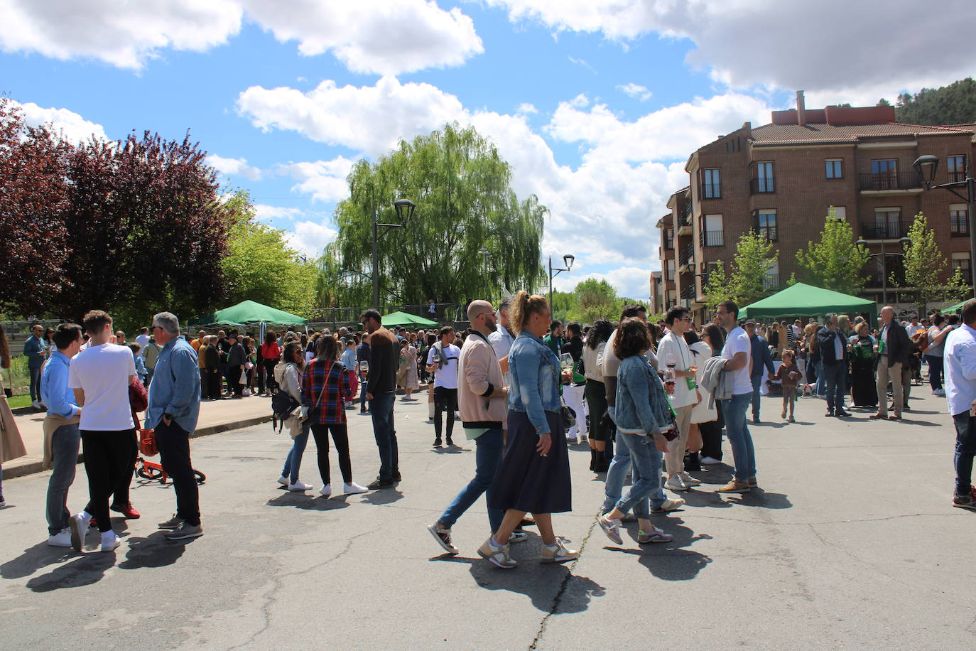 La Peña Juventud celebra el IX Escaparate del Rioja en Nájera