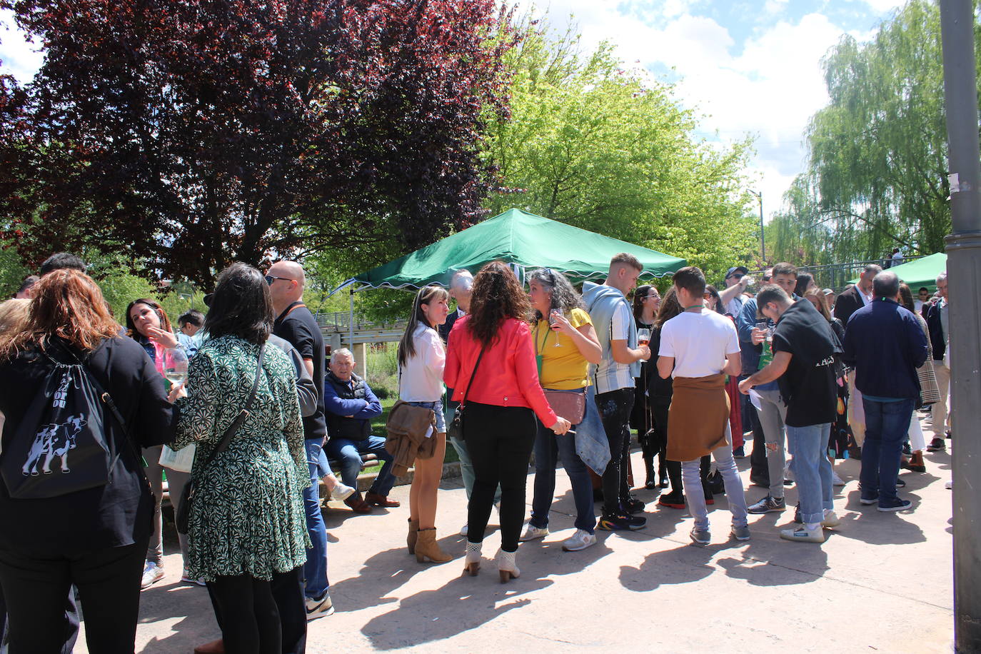 La Peña Juventud celebra el IX Escaparate del Rioja en Nájera