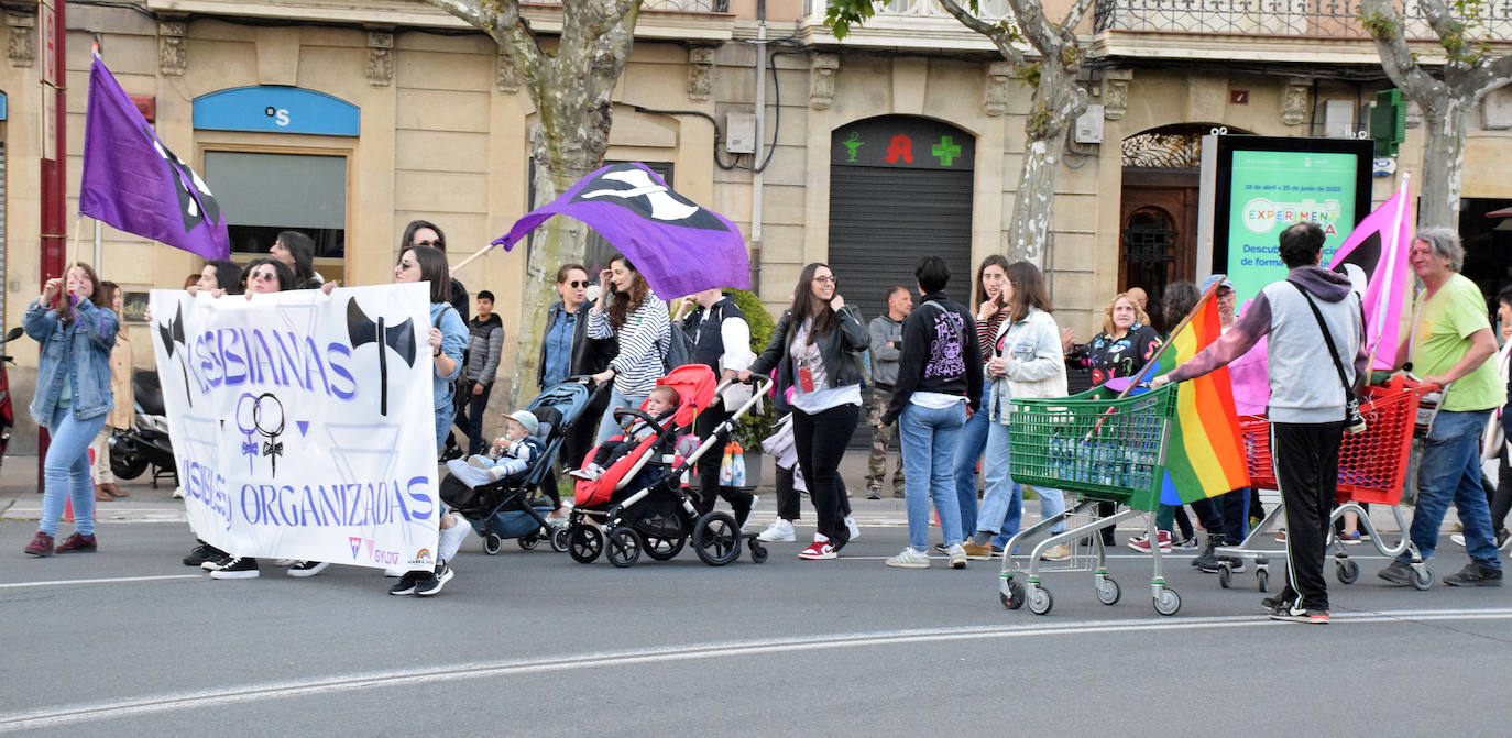 Visibilidad lésbica por las calles de Logroño