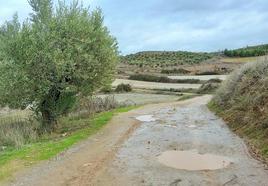 Camino de Valdecarros, en Villamdiana, el pasado invierno.