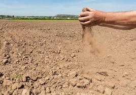 Campo seco en Varea.